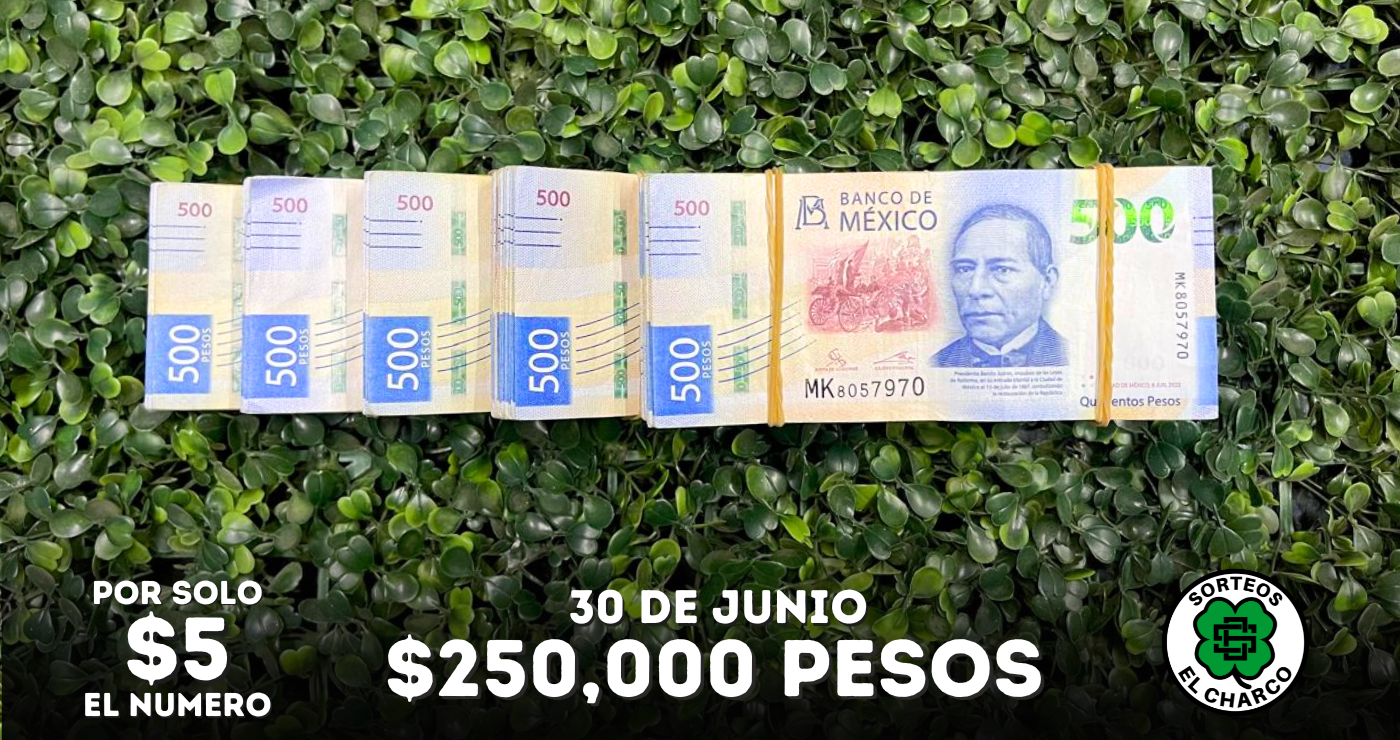 Imagen de Dinero